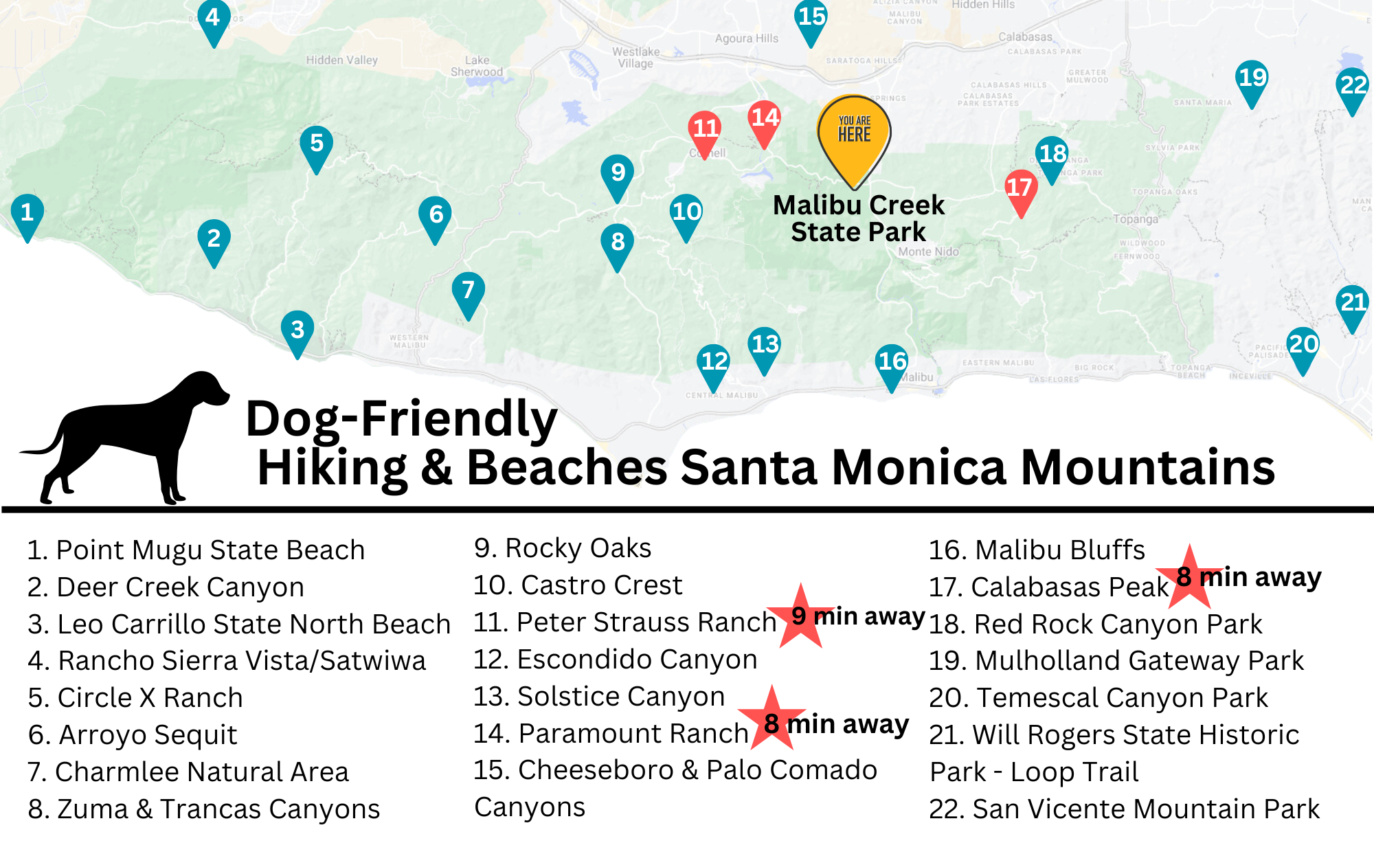 Picture of locations you can take dogs